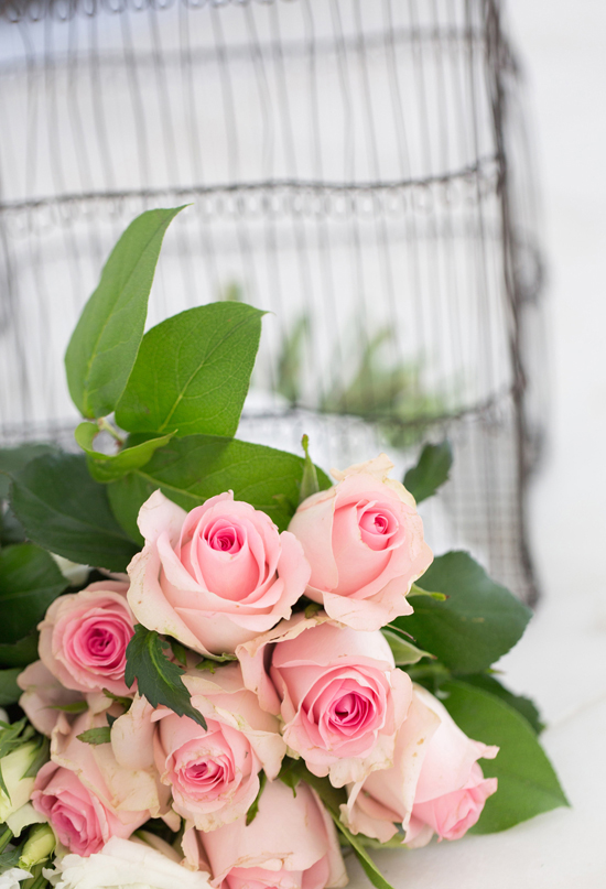 pale pink roses pale pink roses