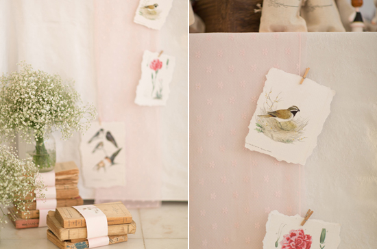 stacked books and hanging illustrated flora and fauna designs stacked books and hanging illustrated flora and fauna designs