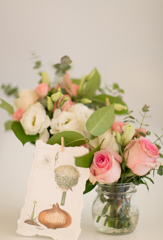illustrated flowers and pink roses illustrated flowers and pink roses