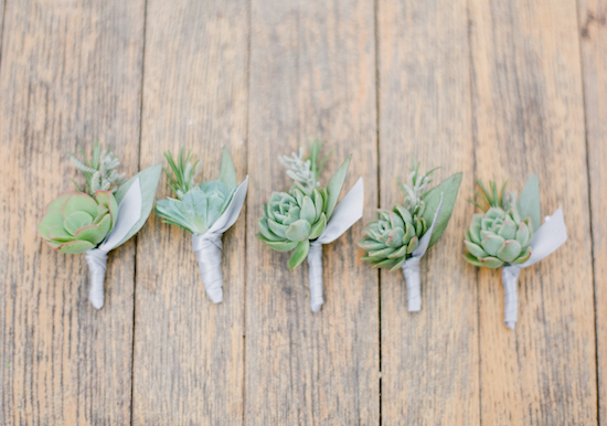 succulent boutonnieres succulent boutonnieres