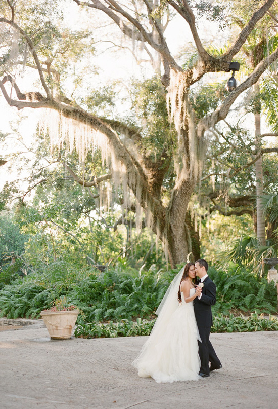 Vizcaya weeping willows | Photo by KT Merry 