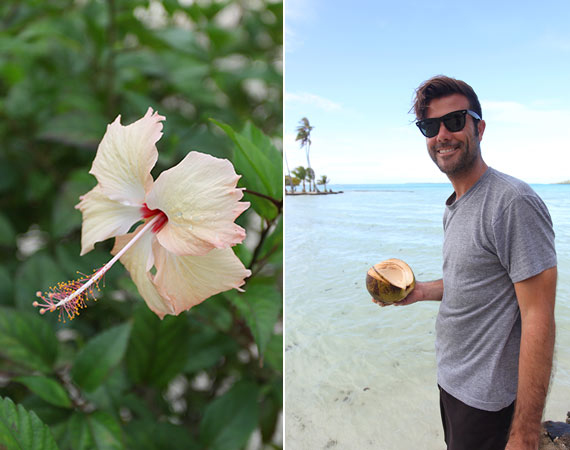 Island honeymoon | 100 Layer Cake