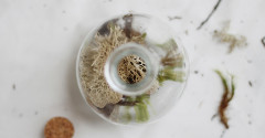DIY terrarium escort cards by Kelli Murray