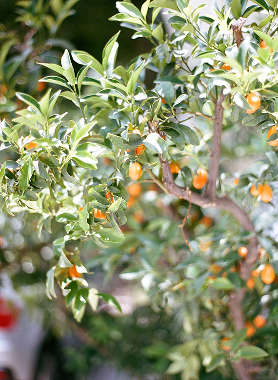 Southern California wedding venue | Lombardi House | Photo by Diana Marie Photo | 100 Layer Cake