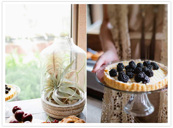 succulent terrarium and blueberry tart