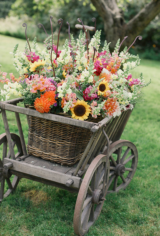 wooden cart of colorful blooms | Photo by Michele M. Waite