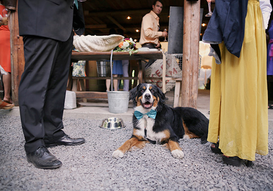 dog-friendly wedding | Photo by Michele M. Waite