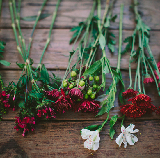 deep red and white florals | Photo by Paige Lowe