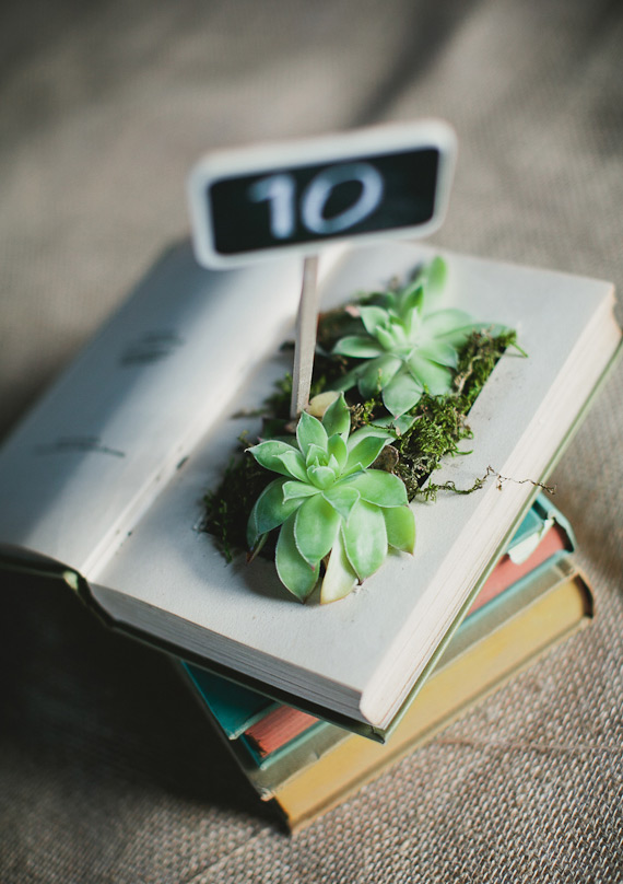 succulent and book centerpiece | 100 Layer Cake