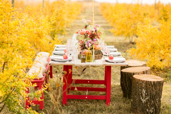 Pomegranate farm wedding inspiration | Photo by Tyme Photography | Read more - http://www.100layercake.com/blog/?p=77288