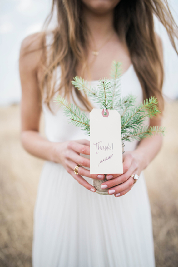 Pine tree wedding favor