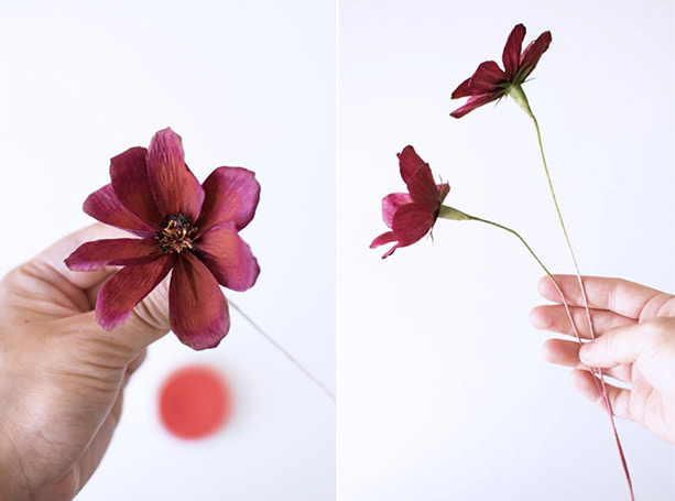 Paper flower tutorial on 100 Layer Cake