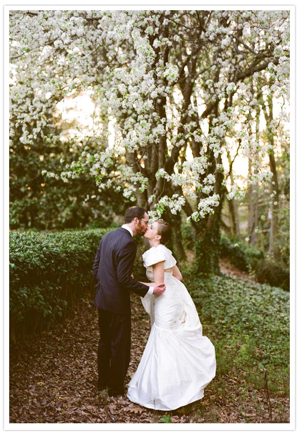 outdoor pear tree wedding kiss