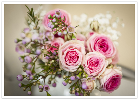 delicate pink roses