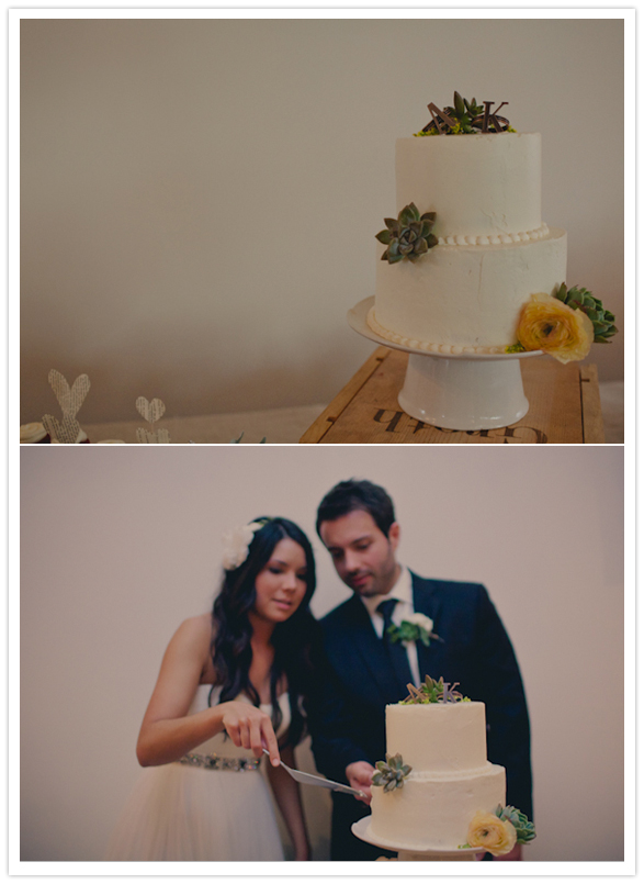 simple white frosted and succulent-adorned wedding cake