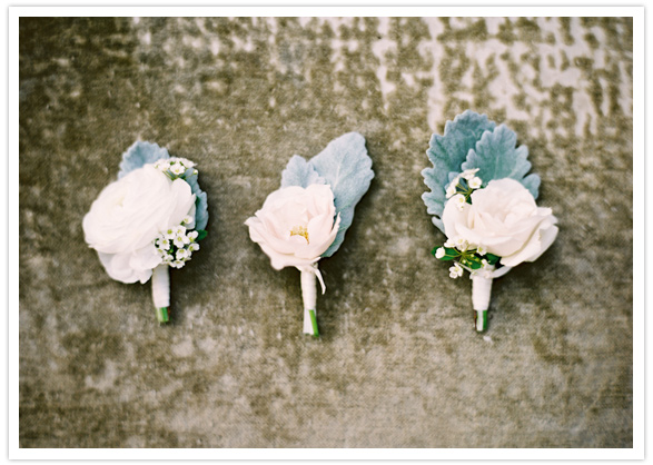 dusty miller, spray rose and succulent boutonniere