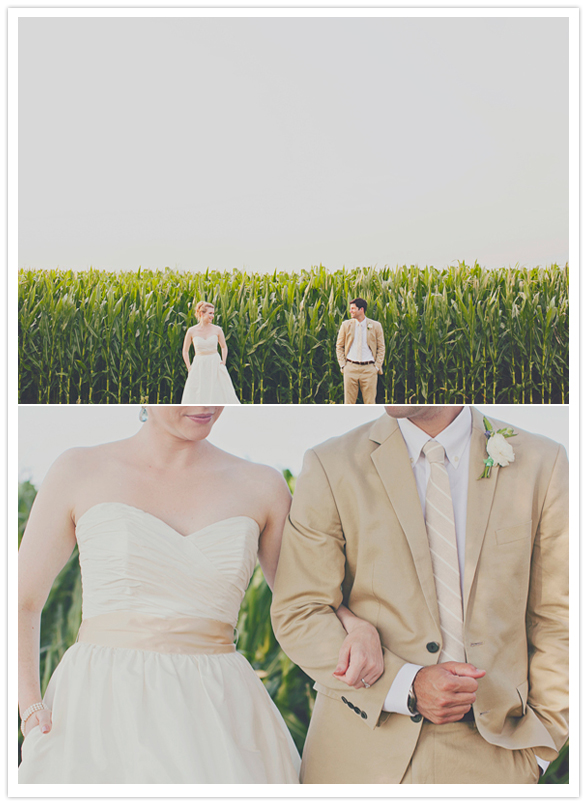 corn field wedding portraits