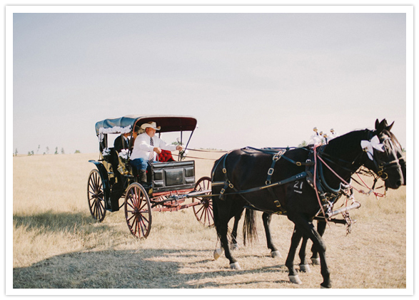 horse carriage escort