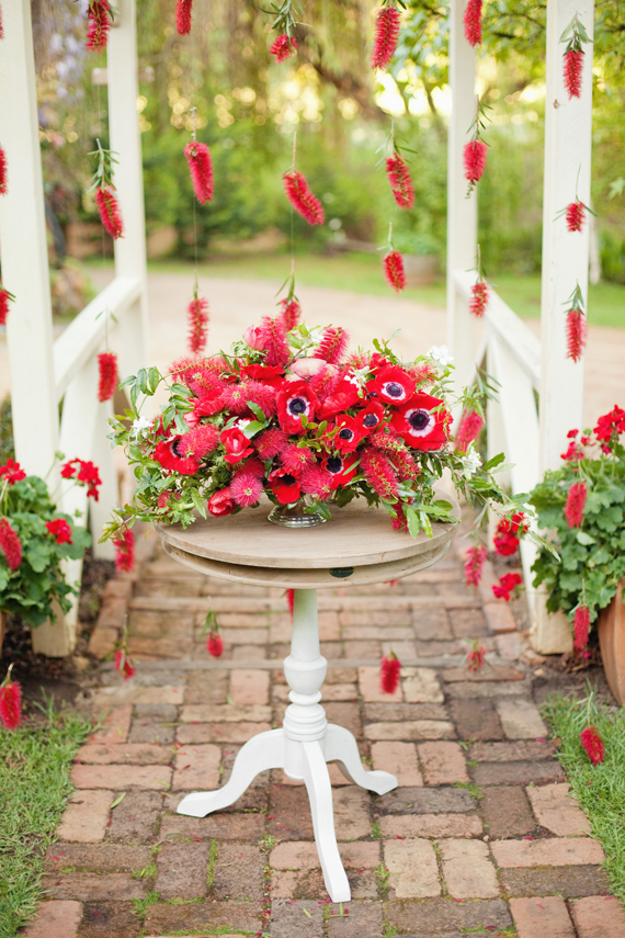 Red anemone and bottle bush floral inspiration | photo by Angela Higgins | 100 Layer Cake 