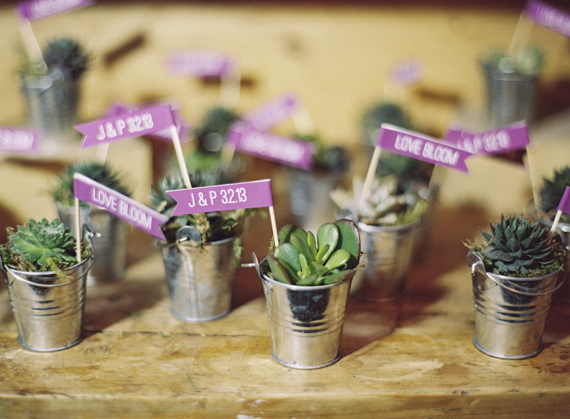 Succulent favors | Photo by Braedon Flynn | Read more - https://www.100layercake.com/blog/?p=69009