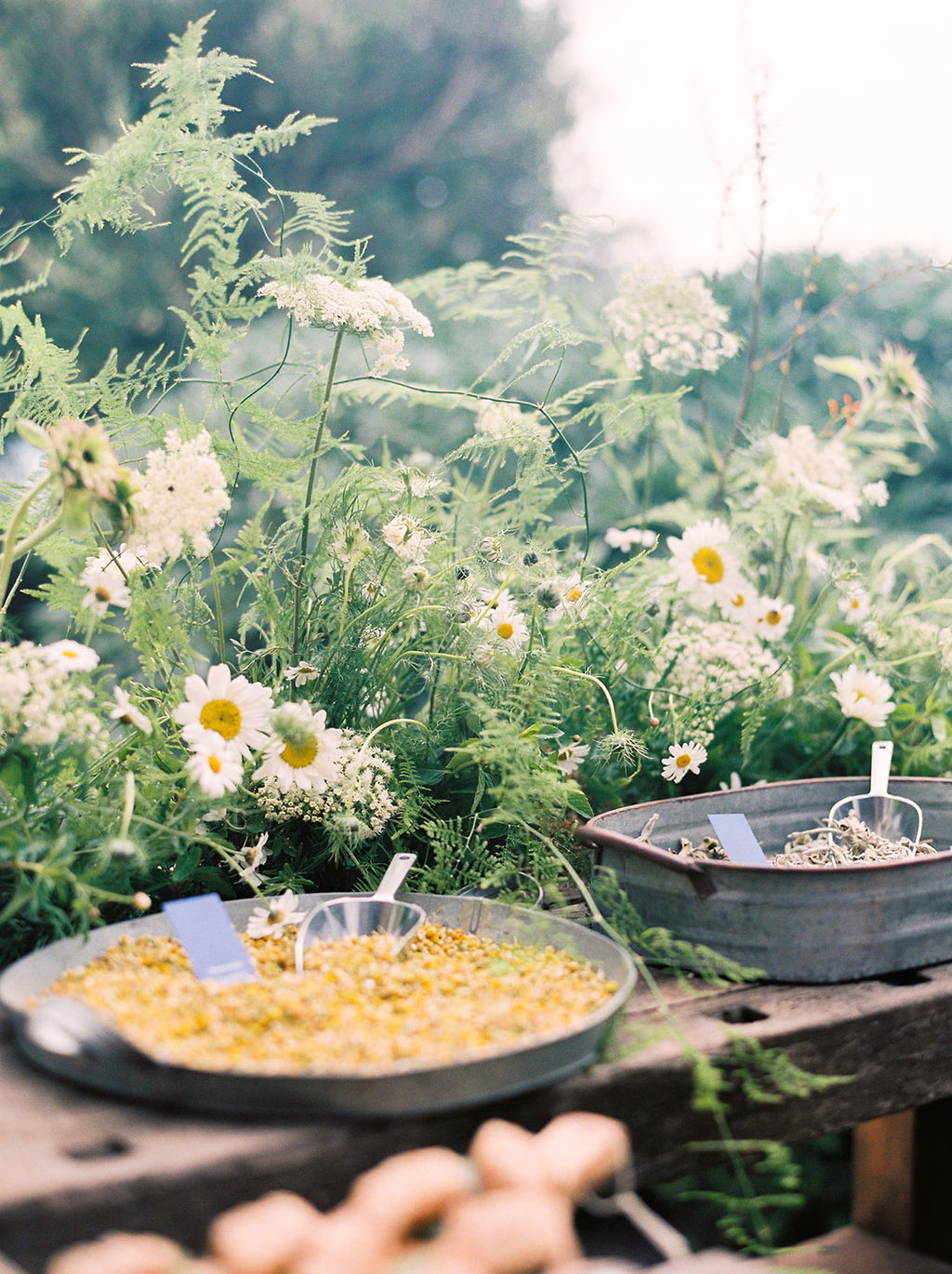 Une escapade romantique sur une île grecque