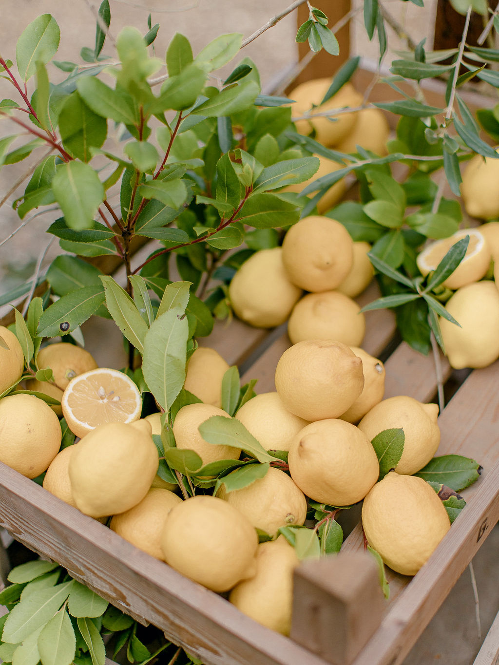 classic wedding in Tuscany