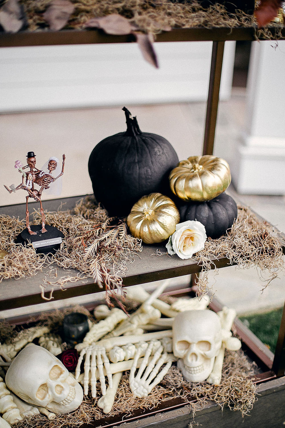 Spooky skeleton themed backyard Halloween party