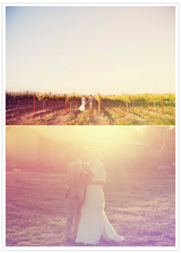 Vineyard Wedding