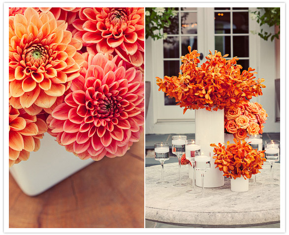 orange and pink dahlias 