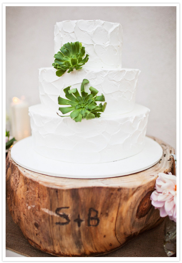 white cake with succulents 