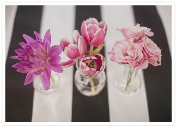 pink ranunculus and tulips