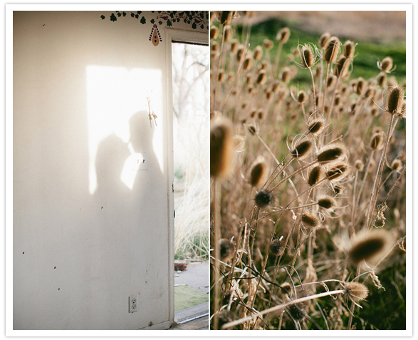 rustic country engagement session