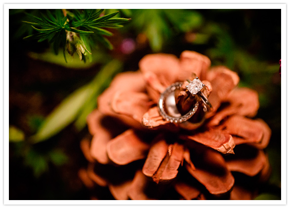 pine cone wedding ring portrait