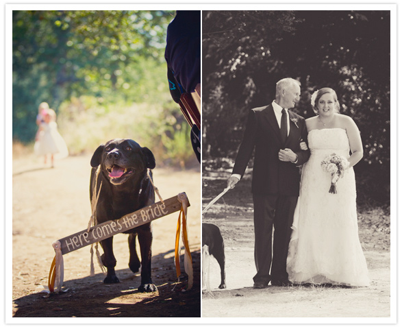 "here comes the bride" wooden sign for the dog