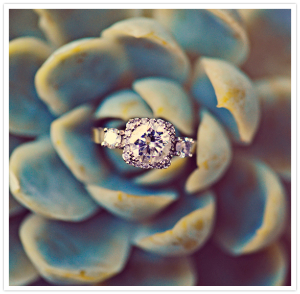 diamond ring set upon a succulent