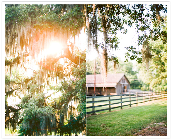 new orleans plantation wedding