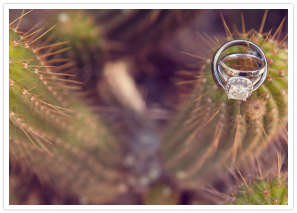 rustic palm springs wedding