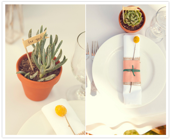 simple succulent guest favors