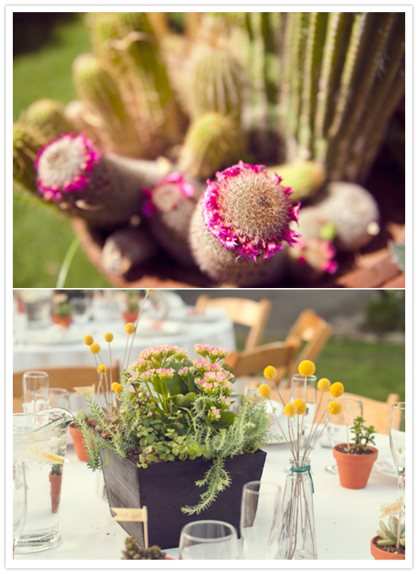 desert floral arrangements 