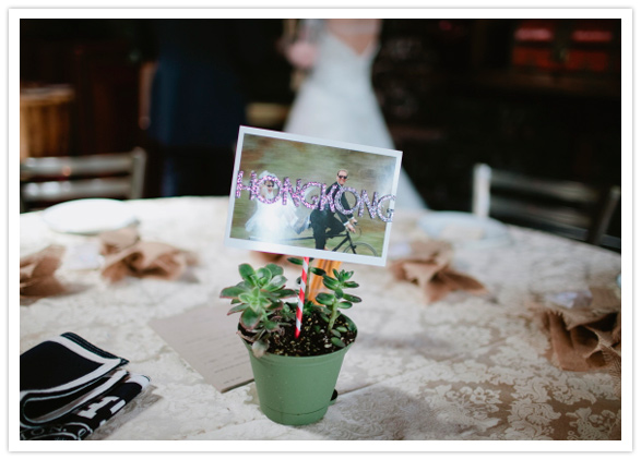 potted plant and postcard centerpieces