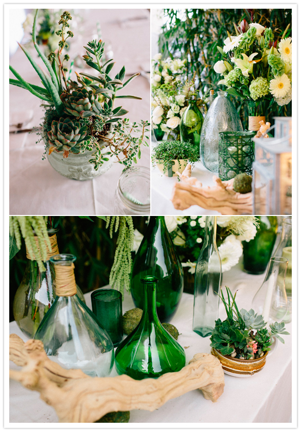 lush green succulents and green jugs