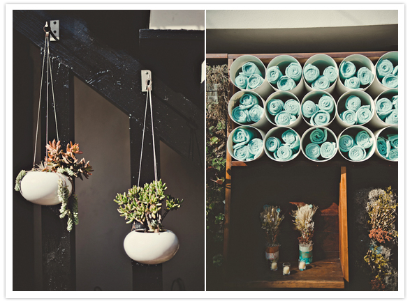 hanging potted plants