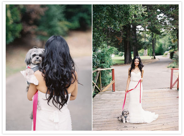 dog and bride portraits