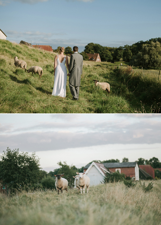 German sheep farm wedding portraits