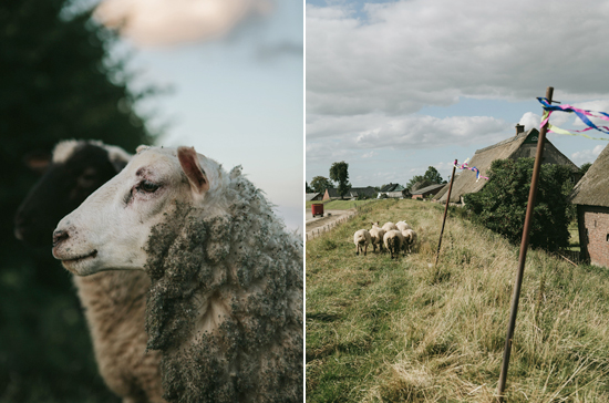 German sheep farm
