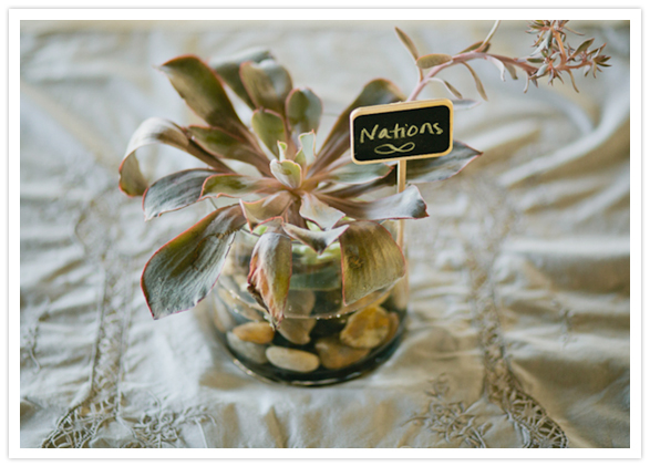 succulents and mini chalkboard signs