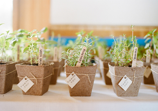 potted plant escort cards
