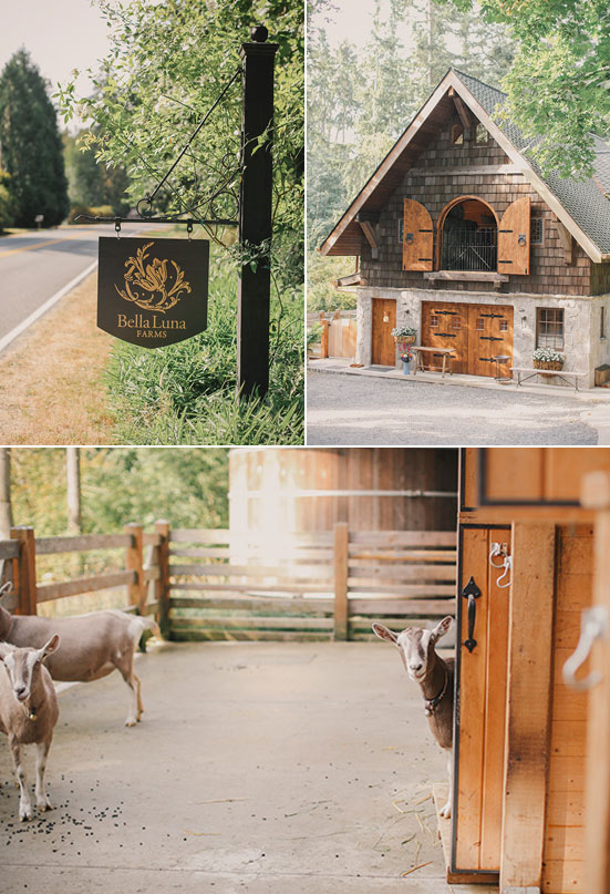 Bella Luna country wedding | Photo by Michele M. Waite