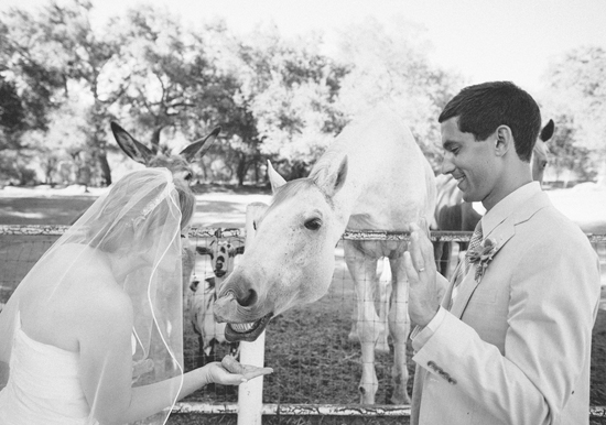 ranch wedding portraits