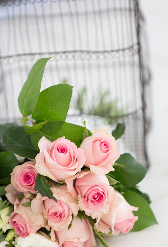 pale pink roses